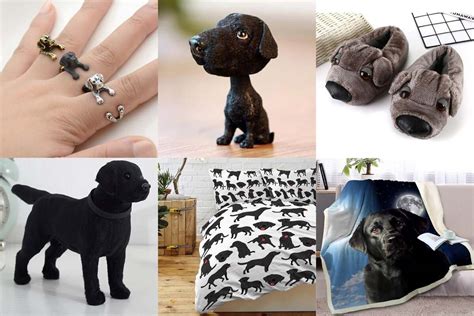 black labrador accessories
